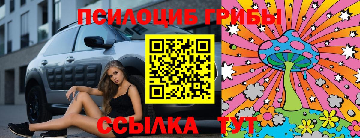 Лосино-Петровский  Псилоцибиновые грибы мухоморы  Вход с VPN  Галлюциногенные грибы Psilocybe 
