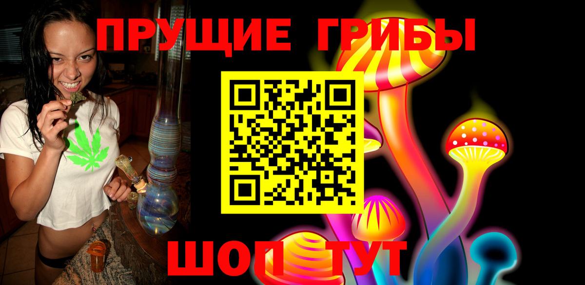 Галлюциногенные грибы Psilocybe Лосино-Петровский